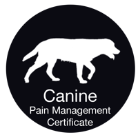 Canine V: Elective – Companion Animal Pain Management Certificate Program