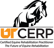Equine I: Online Lecture Series: Introduction to Equine Rehabilitation and Therapeutic Modalities & Conditions Amenable to Rehabilitation