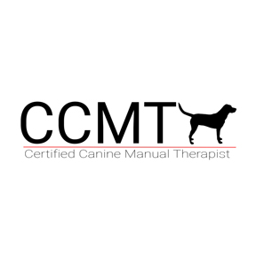 CCMT V – Online – Case Studies